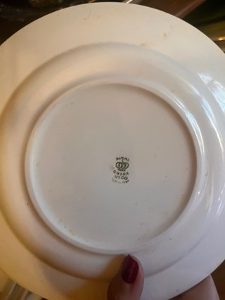 Piezas sueltas vajilla Royal China Vigo