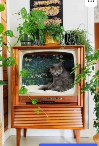 Televisor Antiguo Inter