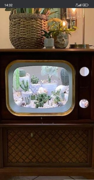 Televisor Antiguo Inter
