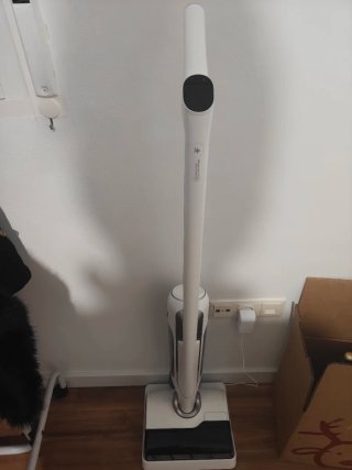 Aspiradora fregadora Rowenta X-Clean 10