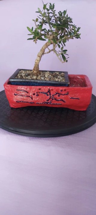 Vaso Bonsai "Diablo"