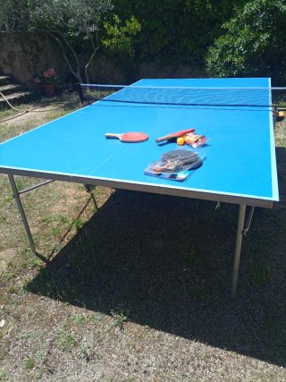 Mesa de ping pong azul