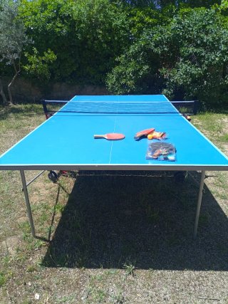 Mesa de ping pong azul