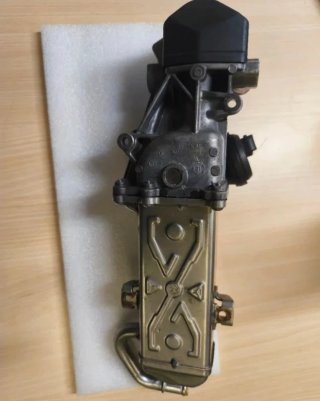 Válvula EGR con enfriador Volkswagen