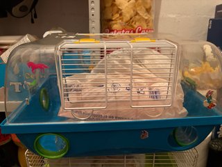 Jaula para hámster transparente y azul