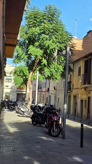 Piso en venta en Sant Andreu de Palomar en Barcelona - Imagen 32