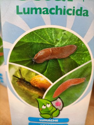 Gesal Lumachicida 500g