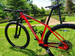 Specialized Stumpjumper 29" (Talla M) | Sram GX 1x
