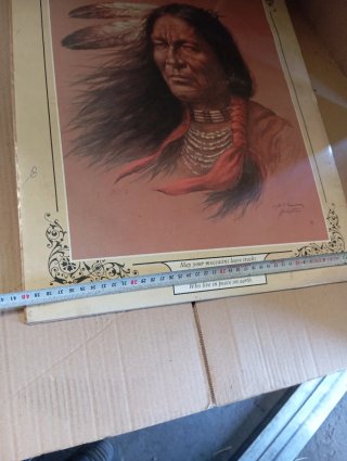 Litografía vintage Bill Hampton Pluma