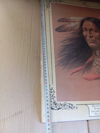 Litografía vintage Bill Hampton Pluma