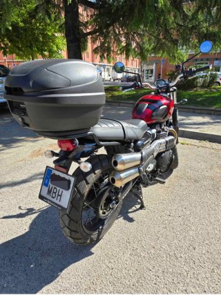 Triumph Scrambler 900 - 4975 km