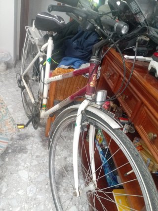 Vendo 2 Bicicletas para hombre y mujer PIONEER en