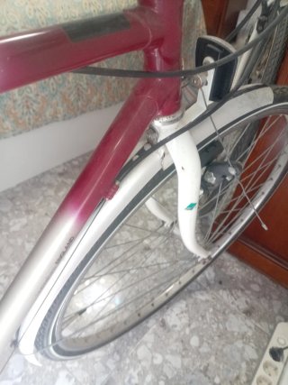 Vendo 2 Bicicletas para hombre y mujer PIONEER en