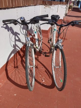 Vendo 2 Bicicletas para hombre y mujer PIONEER en