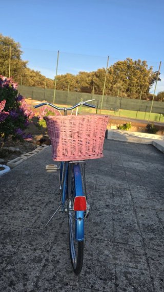 Bicicleta clásica azul vintage