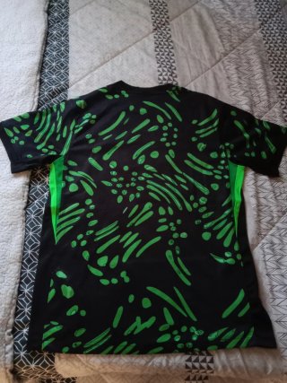 Camiseta Seleccion de Futbol Nigeria.