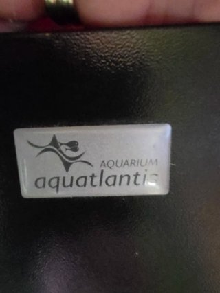 Acuario de diseño