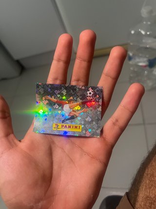 Carta Panini Mundial