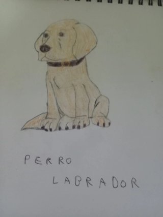Dibujos hechos a mano