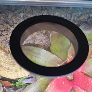 Griglia di ventilazione per terrario