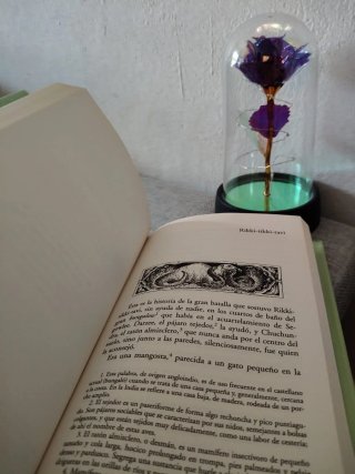 El Libro de la selva