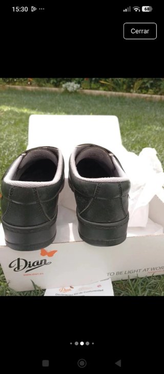 Zapatos de trabajo Dian negros