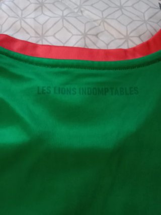 Camiseta Seleccion de Futbol Camerún.