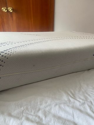 Materasso in schiuma ad alta densità Aloe Vera 80x1,90, M
