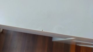 Escritorio Ikea Micke Blanco