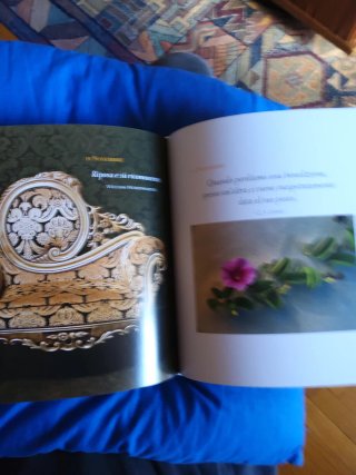 Lo zen quotidiano. 365 giorni di serenità