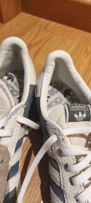 Adidas Gazelle Gris y Blanco