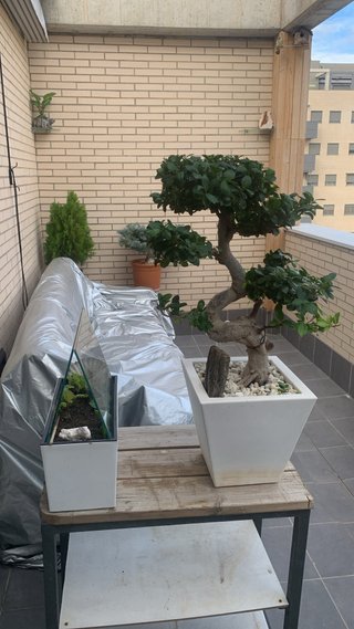 ÁTICO PREMIUM CON TERRAZA PRIVADA EN URBANIZACIÓN - Imagen 14