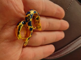 Pendientes tous