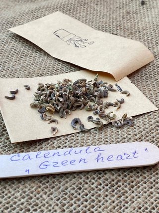 semi Calendula Green Heart Mix