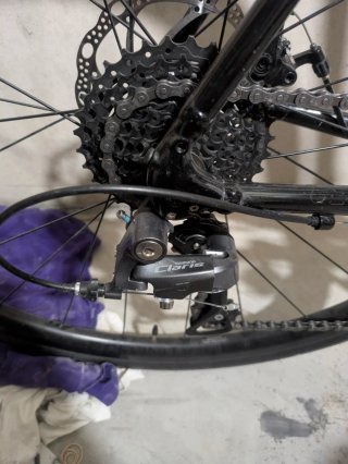 Bicicleta Trek Domane AL 2