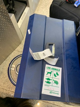 Transportín perro mediano azul