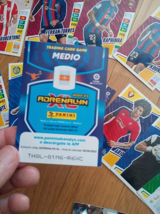 Colección cromos fútbol Panini