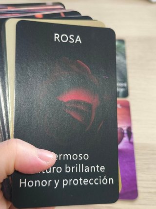 SITUACION AMOR CARTAS DEL ORACULO (ESPAÑOL)