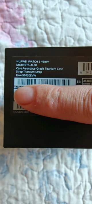 Huawei Watch 5 Titanio
