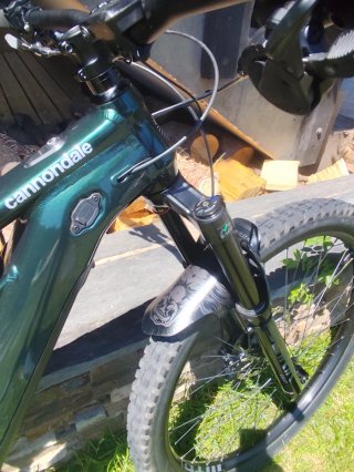 Ebike Cannondale Moterra Neo S1