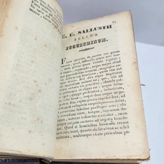 2 libri Sallustii Catilinaria e Jugurthina/Lettere