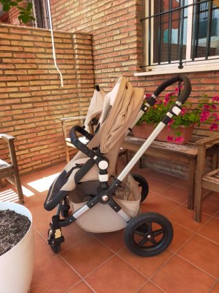 Carrito Bugaboo Camaleón 3