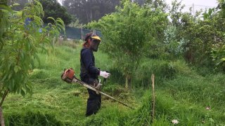 LIMPIEZA Y DESBROCE DE PARCELAS