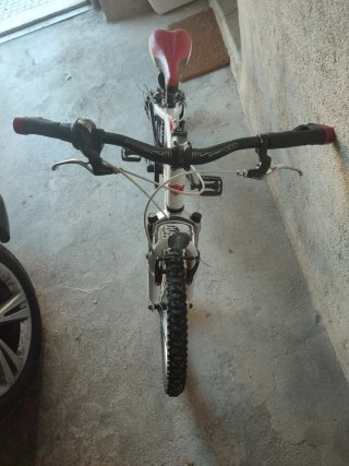 Bicicleta infantil WRS