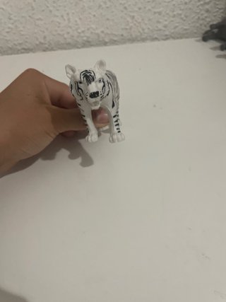 Animales de selva y mar
