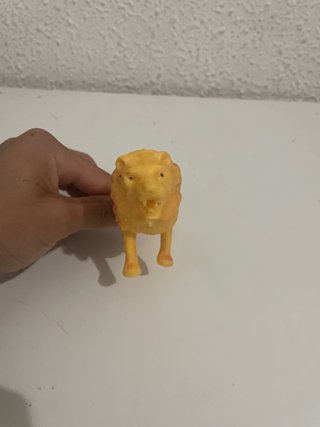 Animales de selva y mar