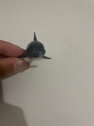 Animales de selva y mar
