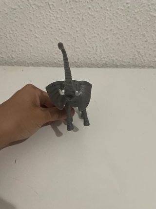 Animales de selva y mar