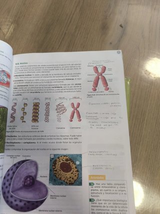 Inicia dual Biología y geología 1 Bachillerato