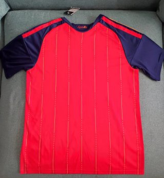 Camiseta de España mundial.